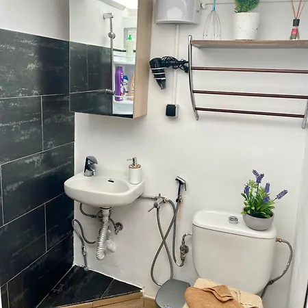 Penthouse Maines View 公寓